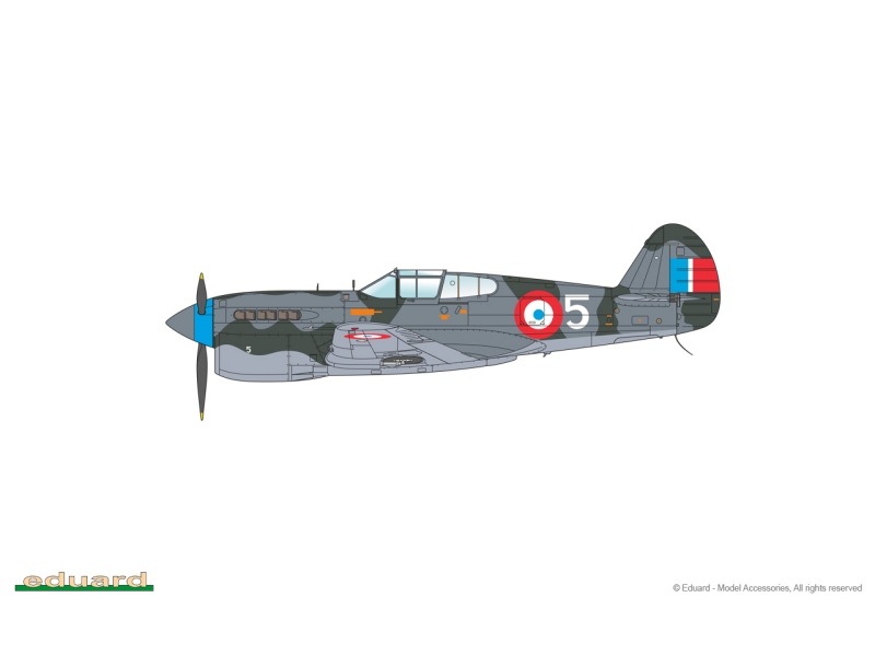 Warhawk (Curtis P-40F)