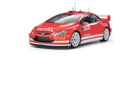 Peugeot 307 WRC Monte Carlo *05