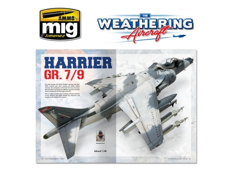 The Weathering Aircraft 12 - WINTER