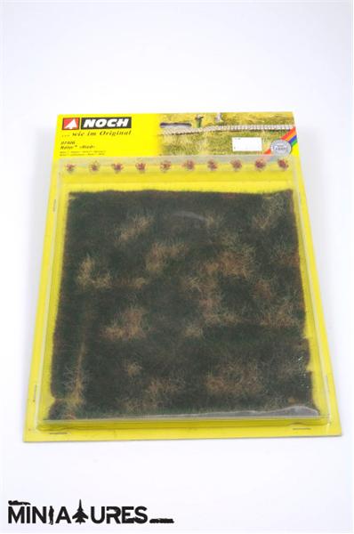 Natur travnik (barje)