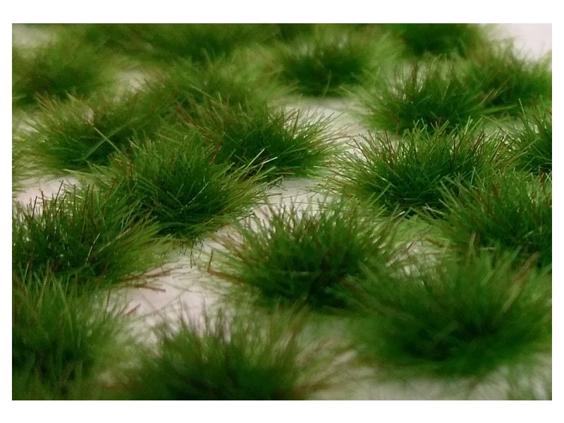 Dvo-barvni šopki (ZGODNJE POLETJE)