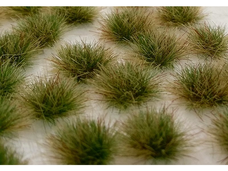 Dvo-barvni šopki (POZNO POLETJE)