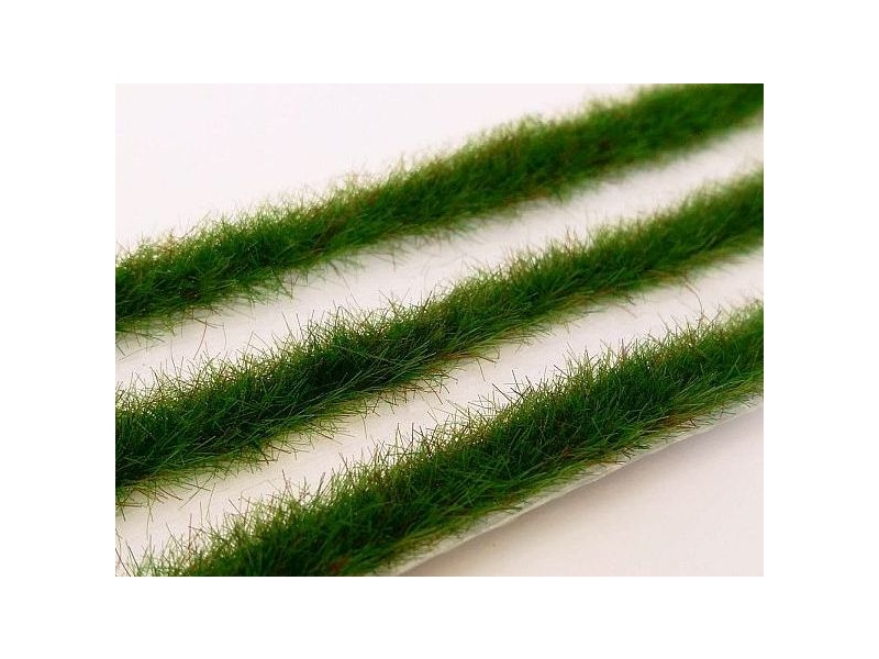 Dolgi trakovi trave (ZGODNJE POLETJE)