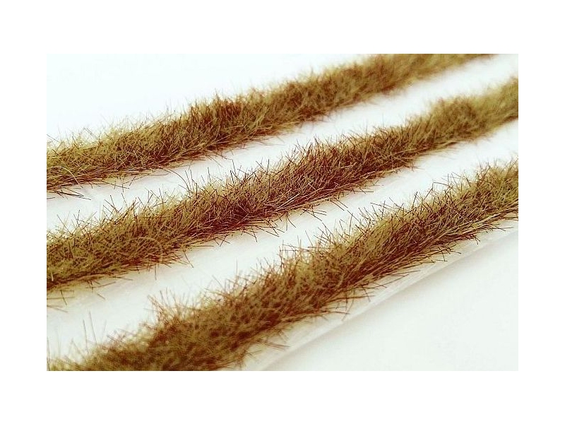 Dolgi trakovi trave (ZGODNJA JESEN)