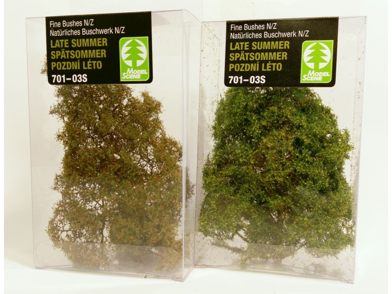 Fin grmovje (POZNO POLETJE)