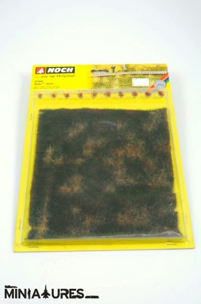 Natur travnik (jesenski travnik)