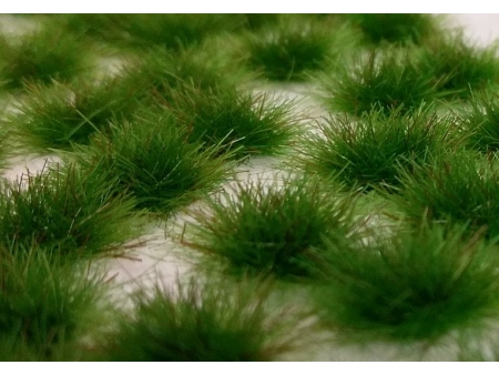 Dvo-barvni šopki (ZGODNJE POLETJE)