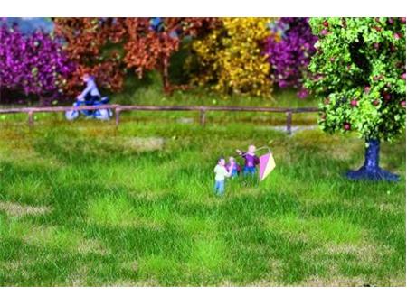 Natur travnik (jesenski travnik)