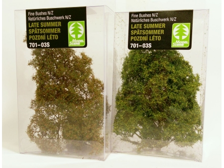 Fin grmovje (POZNO POLETJE)