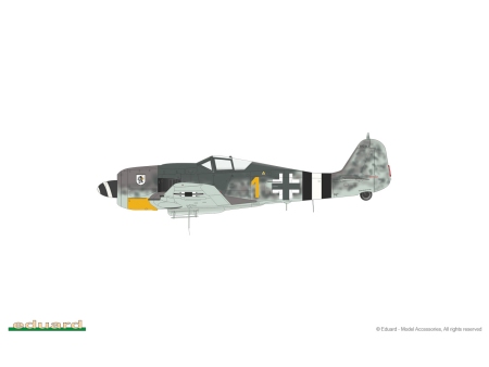 Fw 190A-8/ R2