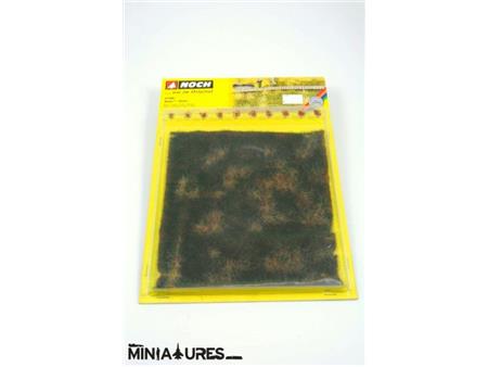 Natur travnik (jesenski travnik)