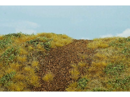 Podlaga s stezo (POZNO POLETJE)