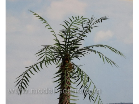 Palmini listi, tip.I (Merilo 1:35 in 1:48)