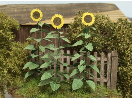 Sončnice (Merilo 1:35 in 1:32)