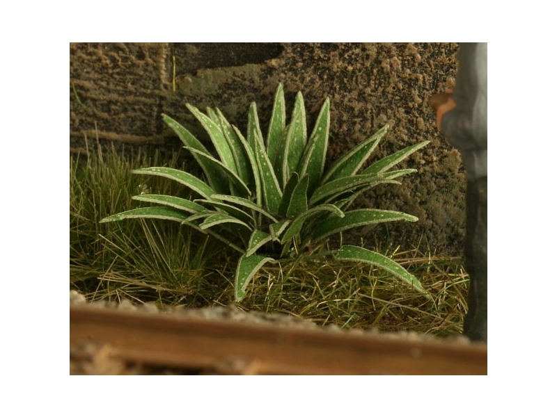 Taščin jezik (merilo 1:32 in 1:35)