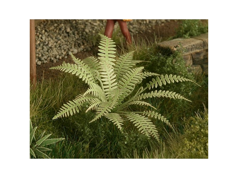 Praprot (Merilo 1:48 in 1:45)