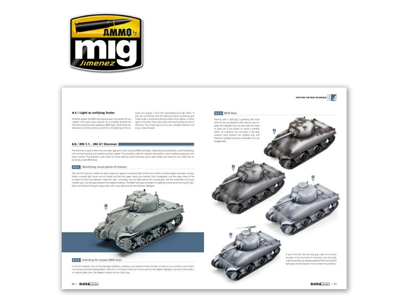 Black & White Techniques