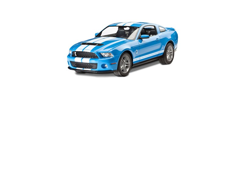 2010 Ford Shelby GT500