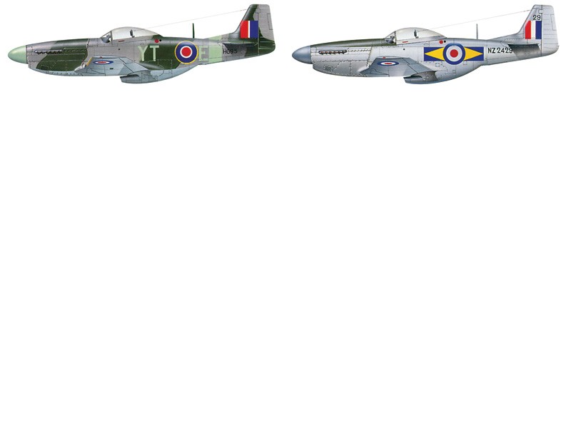 F-51D Mustang