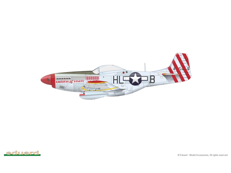 P-51D Mustang