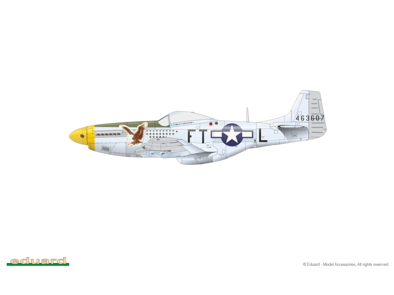 P-51D Mustang