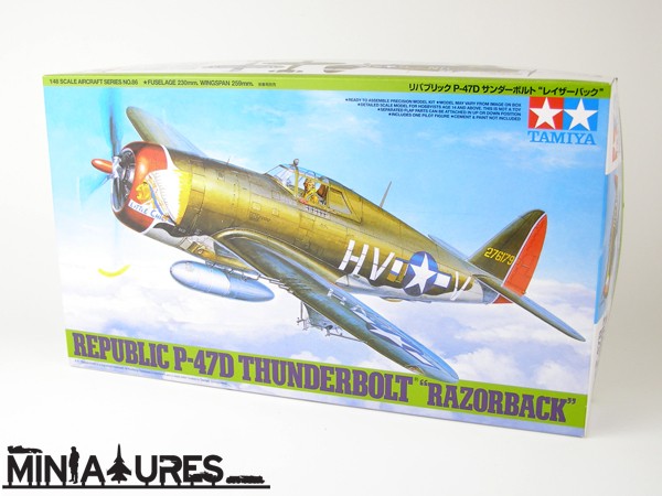 Republic P-47D Thunderbolt 