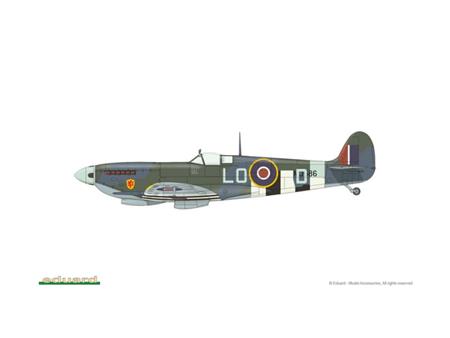 Spitfire Mk. IXc late version