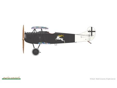 Fokker D. VII (Alb) 