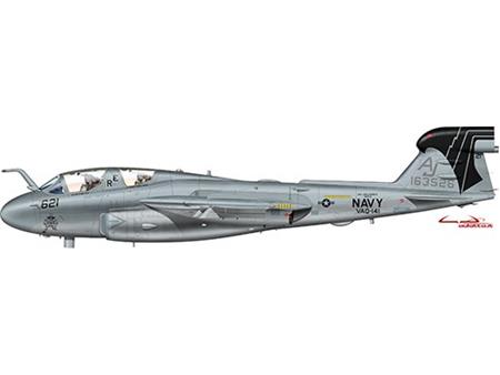 EA-6B Prowler