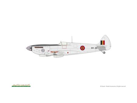 Spitfire Mk. IXe